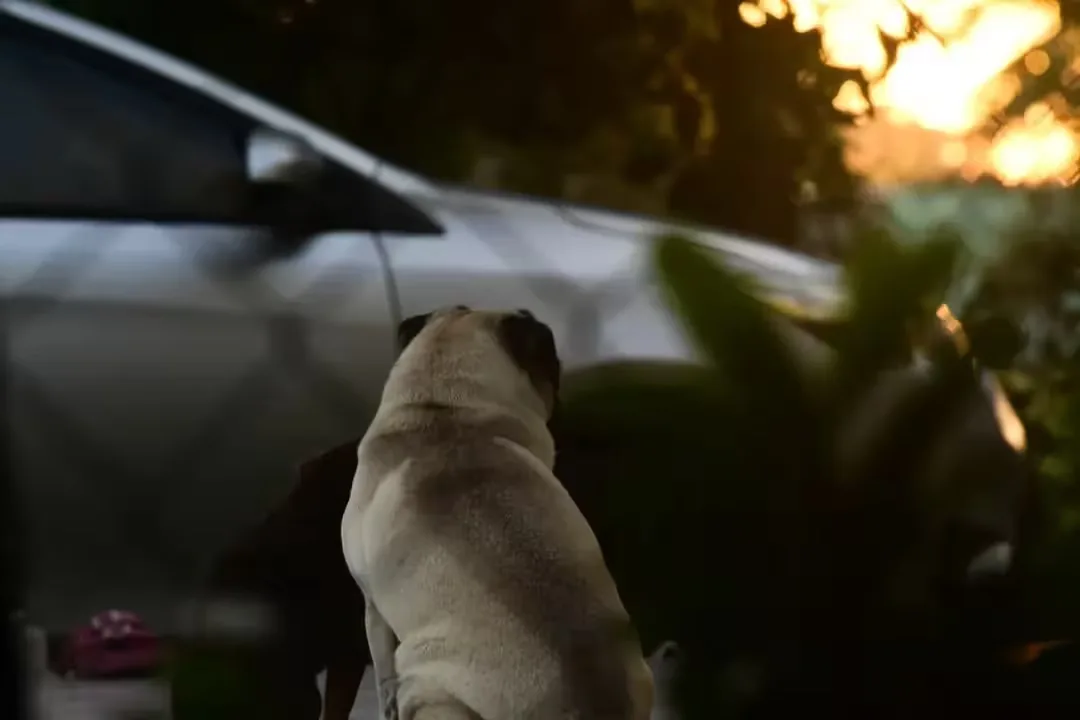 Fotografía personal 5